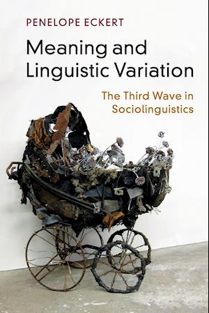 Meaning and Linguistic Variation