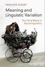Meaning and Linguistic Variation
