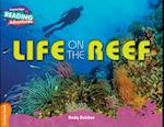 Cambridge Reading Adventures Life on the Reef Orange Band