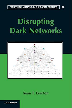 Disrupting Dark Networks