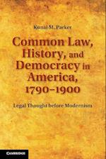 Common Law, History, and Democracy in America, 1790–1900