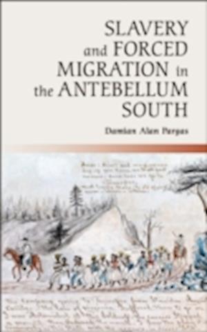 Slavery and Forced Migration in the Antebellum South