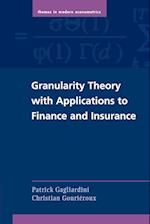 Granularity Theory with Applications to Finance and Insurance