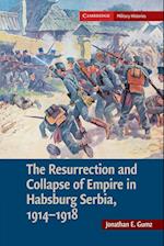 The Resurrection and Collapse of Empire in Habsburg Serbia, 1914-1918: Volume 1