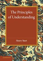 The Principles of Understanding