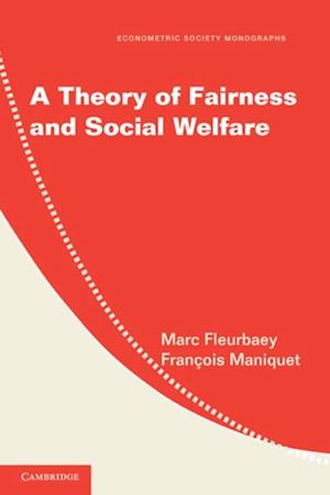 Theory of Fairness and Social Welfare