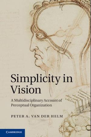 Simplicity in Vision