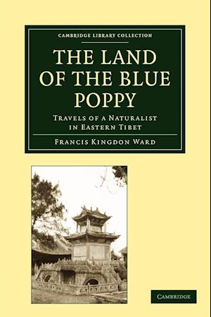 The Land of the Blue Poppy