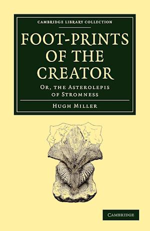 Footprints of the Creator