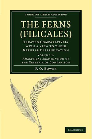 The Ferns (Filicales): Volume 1, Analytical Examination of the Criteria of Comparison