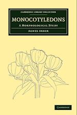 Monocotyledons