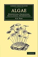 Algae: Volume 1, Myxophyceae, Peridinieae, Bacillarieae, Chlorphyceae