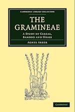 The Gramineae