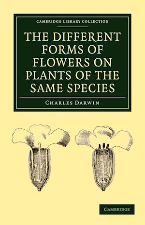 The Different Forms of Flowers on Plants of the Same Species