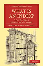 What is an Index?