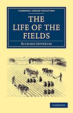 The Life of the Fields