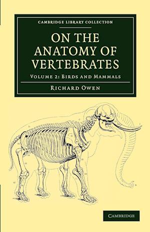 On the Anatomy of Vertebrates