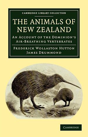 The Animals of New Zealand