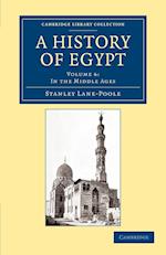 A History of Egypt: Volume 6, In the Middle Ages