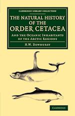 The Natural History of the Order Cetacea