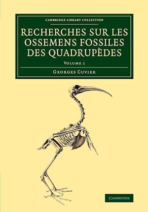 Recherches sur les ossemens fossiles des quadrupèdes