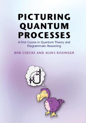 Picturing Quantum Processes