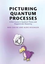 Picturing Quantum Processes