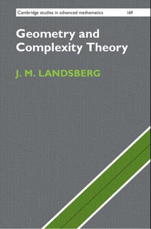 Geometry and Complexity Theory