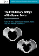 Evolutionary Biology of the Human Pelvis