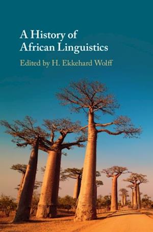 History of African Linguistics