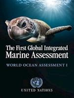 First Global Integrated Marine Assessment