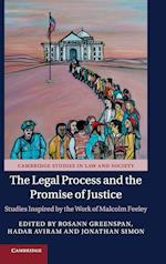 The Legal Process and the Promise of Justice