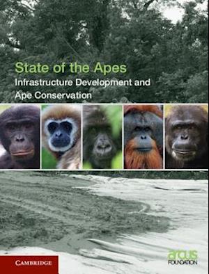 Infrastructure Development and Ape Conservation: Volume 3