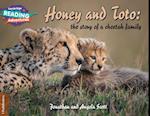 Cambridge Reading Adventures Honey and Toto: The Story of a Cheetah Family 1 Pathfinders