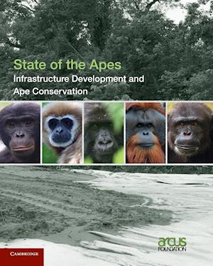 Infrastructure Development and Ape Conservation: Volume 3