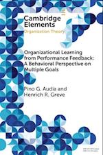 Organizational Learning from Performance Feedback: A Behavioral Perspective on Multiple Goals