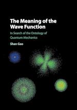 The Meaning of the Wave Function