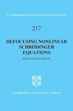 Defocusing Nonlinear Schroedinger Equations