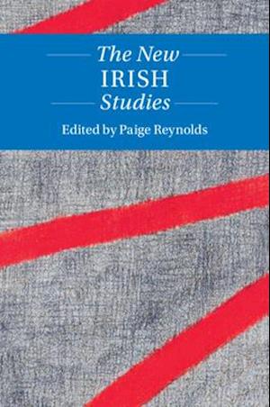 The New Irish Studies