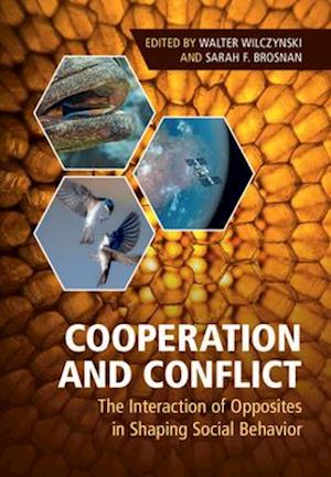 Cooperation and Conflict