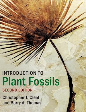 Introduction to Plant Fossils