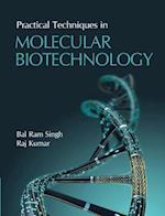 Practical Techniques in Molecular Biotechnology