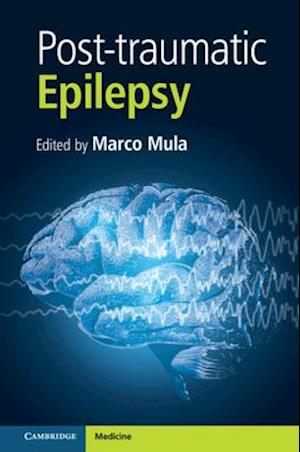 Post-traumatic Epilepsy, Part 1