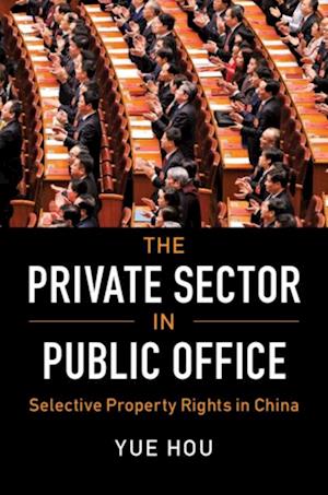 Private Sector in Public Office