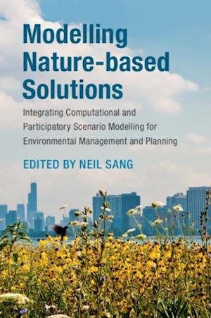 Modelling Nature-based Solutions