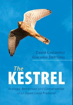 Kestrel