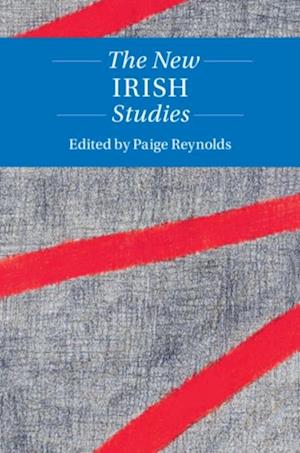 New Irish Studies