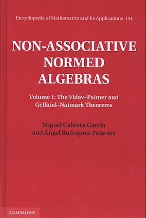 Non-Associative Normed Algebras