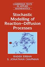 Stochastic Modelling of Reaction–Diffusion Processes