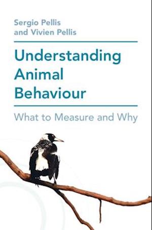 Understanding Animal Behaviour